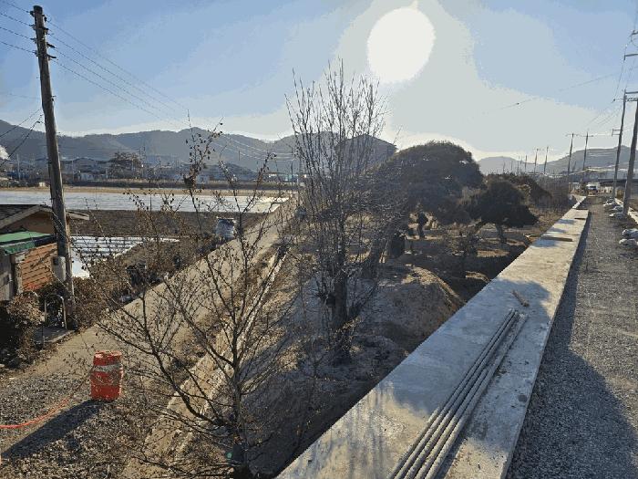 경상북도 고령군 대가야읍 고아리 135-1 답 경매 사진 1