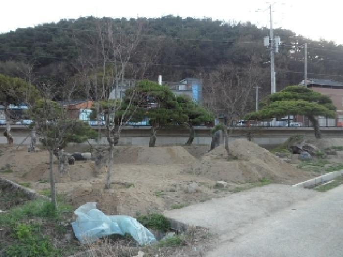경상북도 고령군 대가야읍 고아리 135-1 답 경매 사진 5