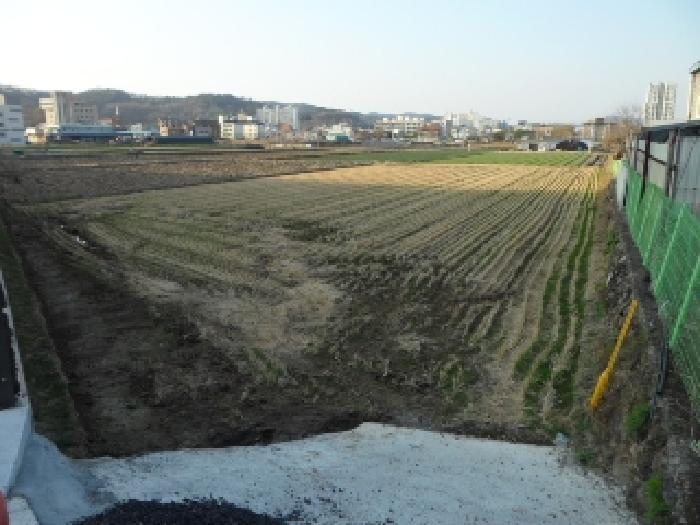 경상북도 고령군 대가야읍 고아리 135-1 답 경매 사진 7
