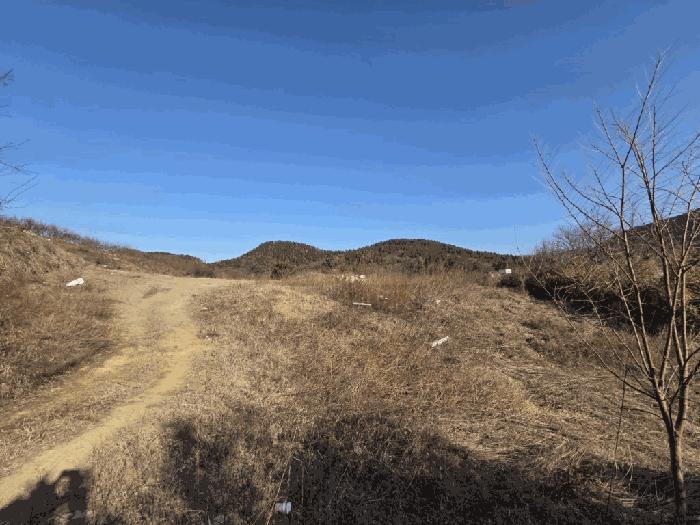 대구광역시 동구 봉무동 951 전 경매 사진 1