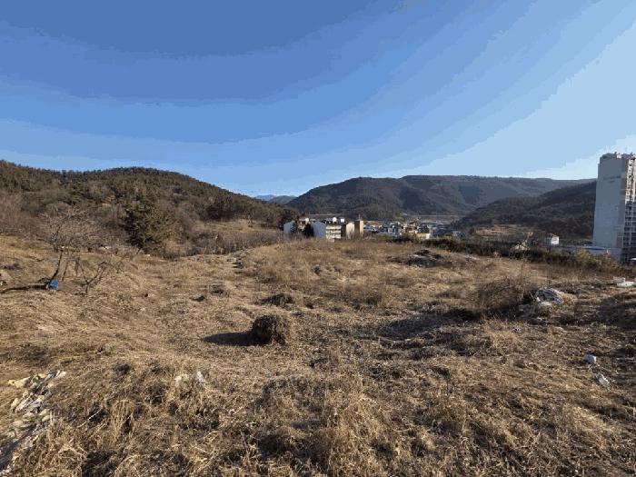 대구광역시 동구 봉무동 951 전 경매 사진 2