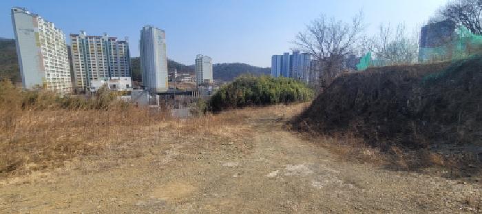 대구광역시 동구 봉무동 951 전 경매 사진 7