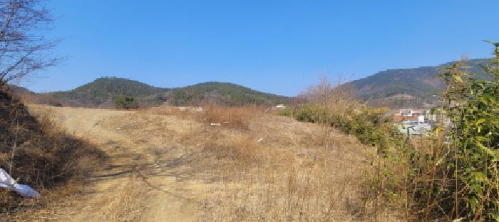 대구광역시 동구 봉무동 951 전 경매 사진 9