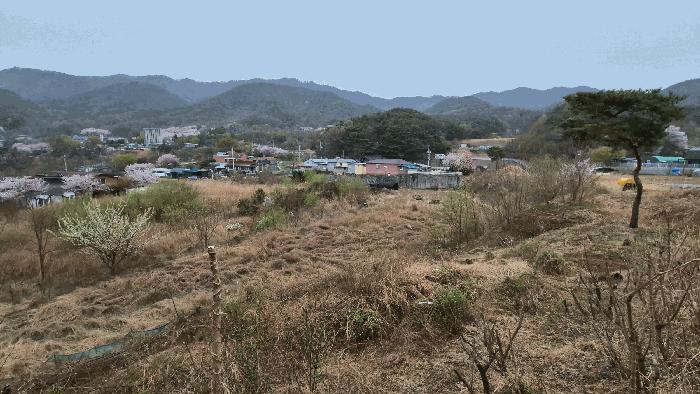 경상북도 칠곡군 동명면 득명리 177 답 경매 사진 3