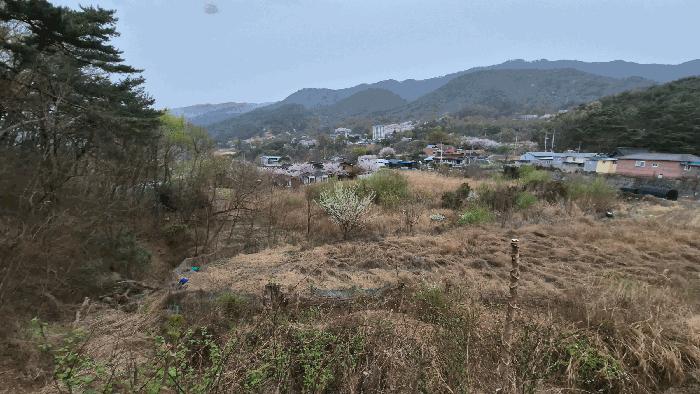경상북도 칠곡군 동명면 득명리 177 답 경매 사진 4