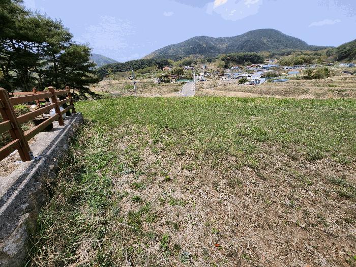 울산광역시 울주군 두서면 전읍리 1078-1 답 경매 사진 2
