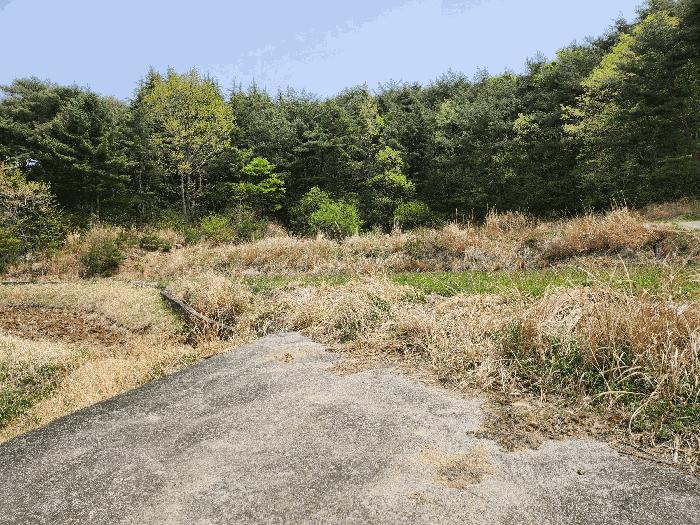 울산광역시 울주군 두서면 전읍리 1078-1 답 경매 사진 3