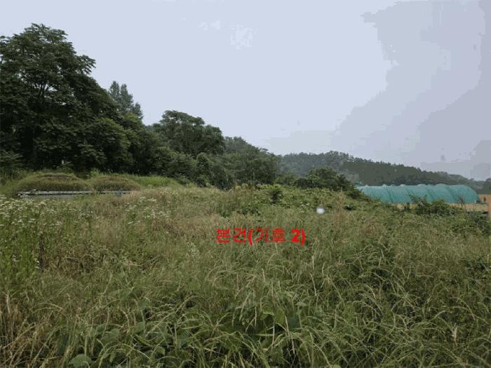 경상남도 합천군 초계면 아막리 210 전 경매 사진 9