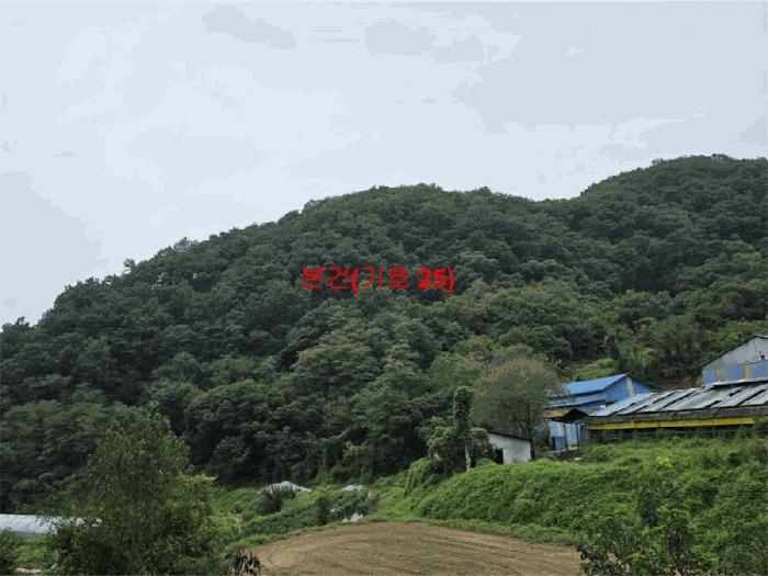 경상남도 합천군 야로면 청계리 119 축사(농가시설) 경매 사진 21
