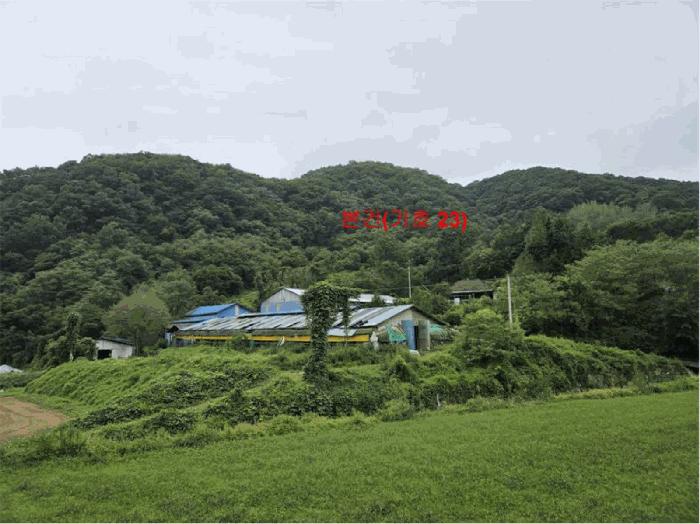 경상남도 합천군 야로면 청계리 119 축사(농가시설) 경매 사진 41