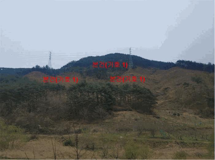 경상남도 함양군 안의면 황곡리 산28-2 임야 경매 사진 1
