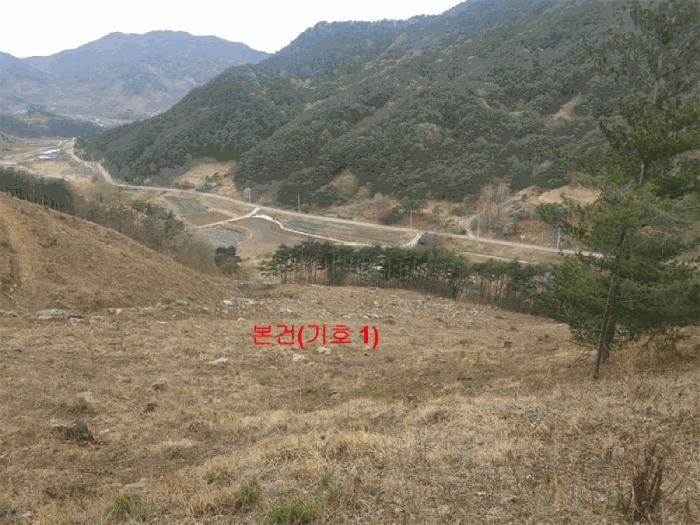 경상남도 함양군 안의면 황곡리 산28-2 임야 경매 사진 2