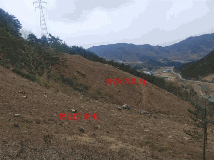 경상남도 함양군 안의면 황곡리 산28-2 임야 경매 사진 3
