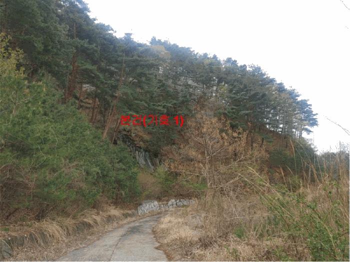 경상남도 함양군 안의면 황곡리 산28-2 임야 경매 사진 7