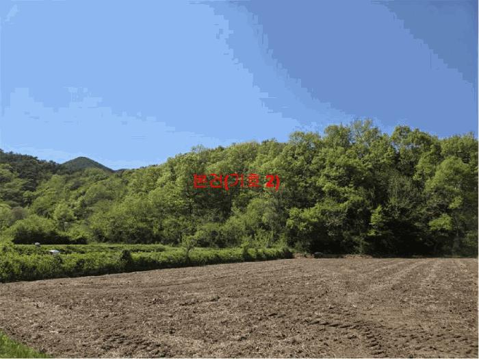 경상남도 거창군 남하면 지산리 산206 임야 경매 사진 1