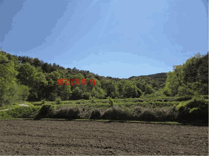 경상남도 거창군 남하면 지산리 산206 임야 경매 사진 5