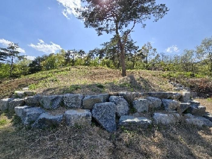 경상남도 거창군 남하면 지산리 산206 임야 경매 사진 8