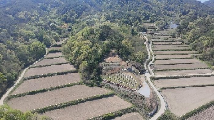 경상남도 거창군 남하면 지산리 산206 임야 경매 사진 9