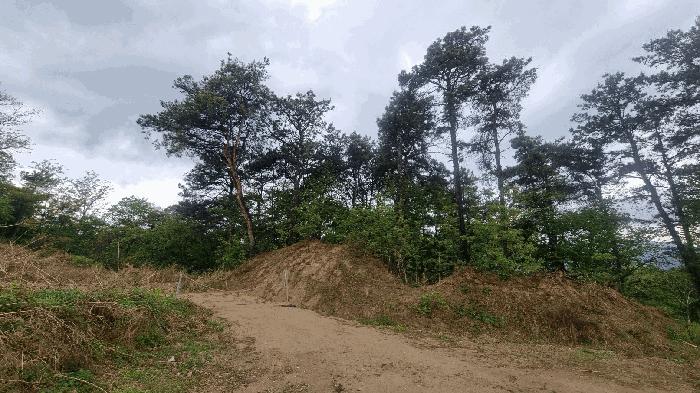경상남도 함양군 함양읍 죽곡리 산64 임야 경매 사진 5