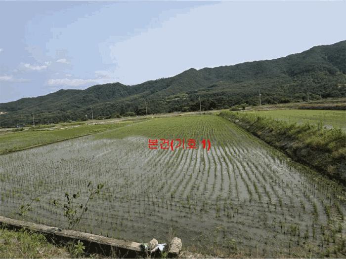 경상남도 함양군 서상면 옥산리 131-6 답 경매 사진 2