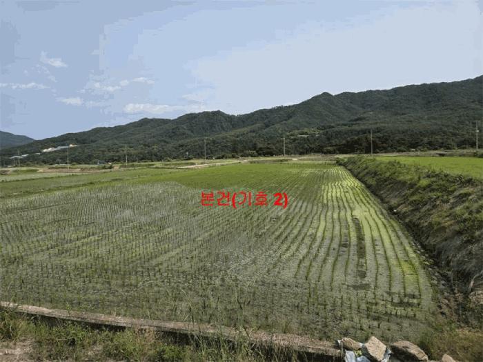 경상남도 함양군 서상면 옥산리 131-6 답 경매 사진 4