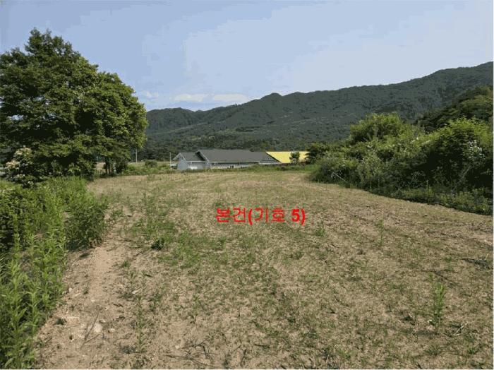 경상남도 함양군 서상면 옥산리 131-6 답 경매 사진 5