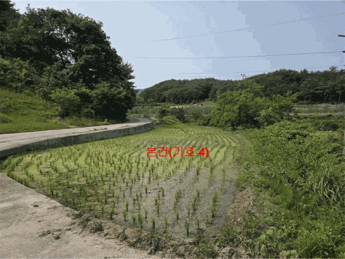 경상남도 함양군 서상면 옥산리 131-6 답 경매 사진 6
