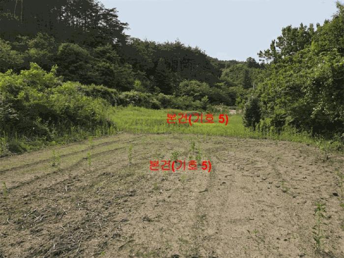 경상남도 함양군 서상면 옥산리 131-6 답 경매 사진 8