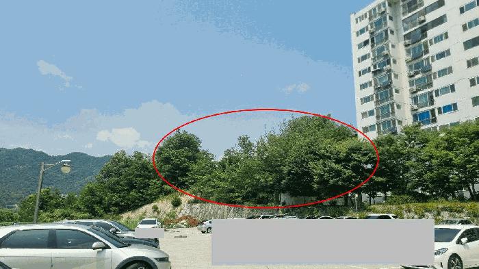 경상남도 거창군 거창읍 상림리 산11-2 임야 경매 사진 4