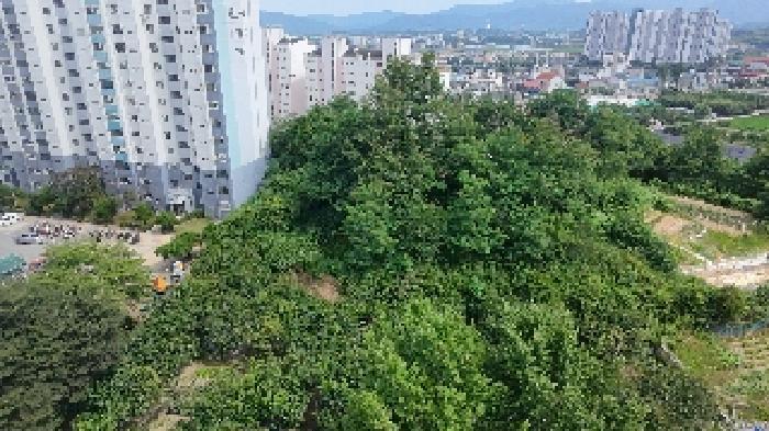 경상남도 거창군 거창읍 상림리 산11-2 임야 경매 사진 9