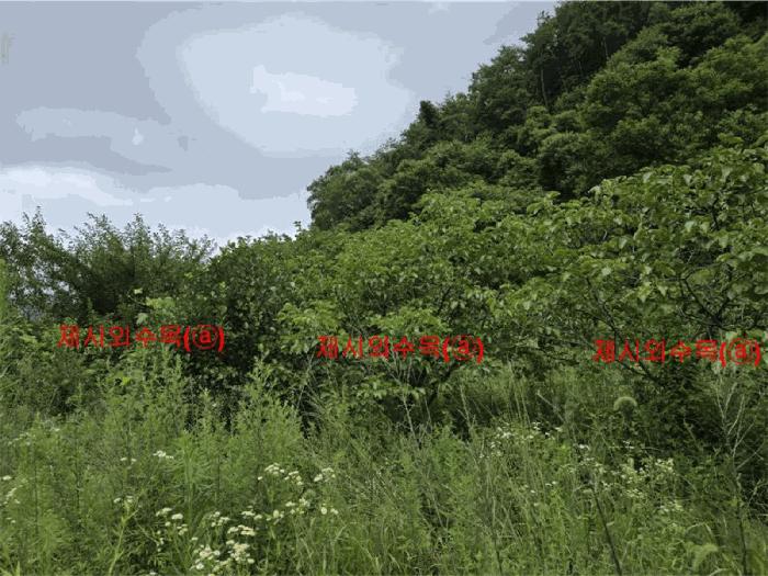 경상남도 합천군 대양면 백암리 916 전 경매 사진 2