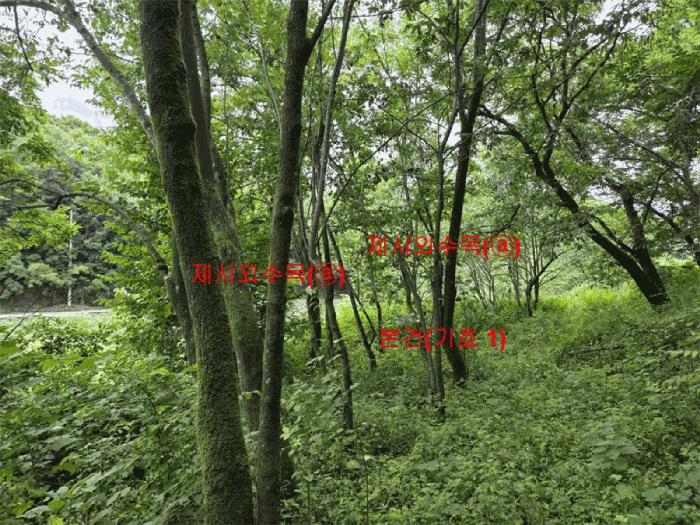 경상남도 합천군 대양면 백암리 916 전 경매 사진 3