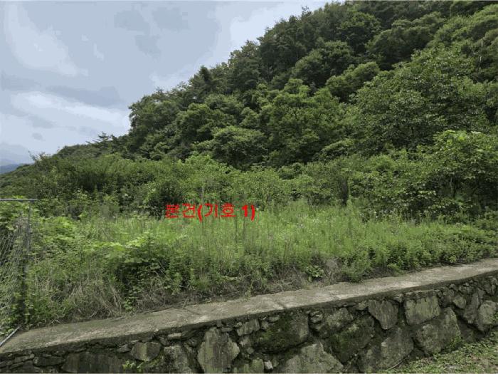 경상남도 합천군 대양면 백암리 916 전 경매 사진 4