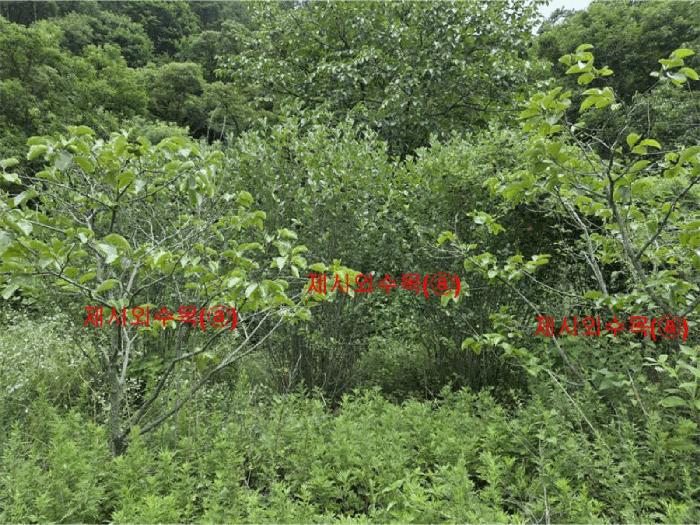 경상남도 합천군 대양면 백암리 916 전 경매 사진 5