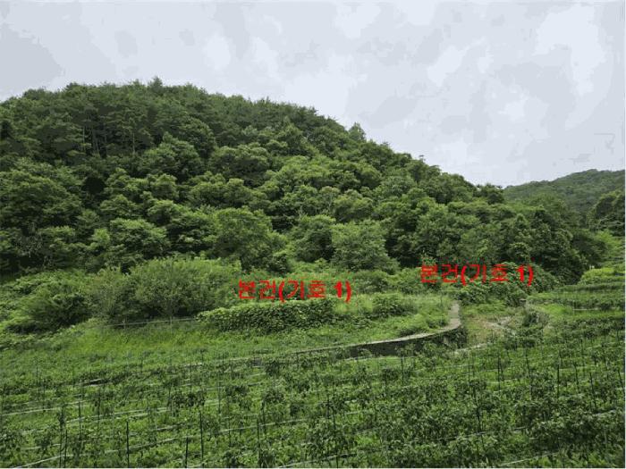 경상남도 합천군 대양면 백암리 916 전 경매 사진 6