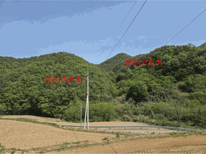 경상남도 합천군 용주면 용지리 산52-1 임야 경매 사진 2