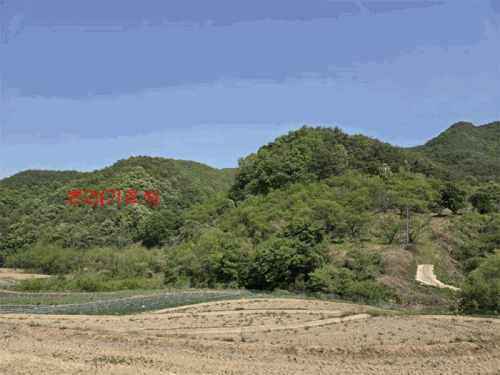 경상남도 합천군 용주면 용지리 산52-1 임야 경매 사진 3