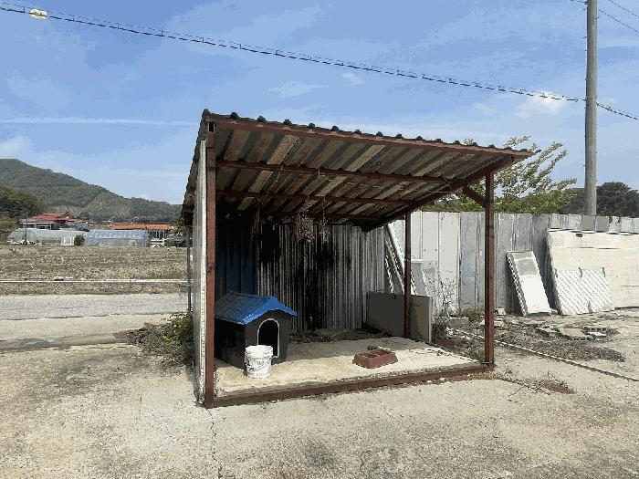 충청북도 충주시 노은면 대덕리 126-10 답 경매 사진 3