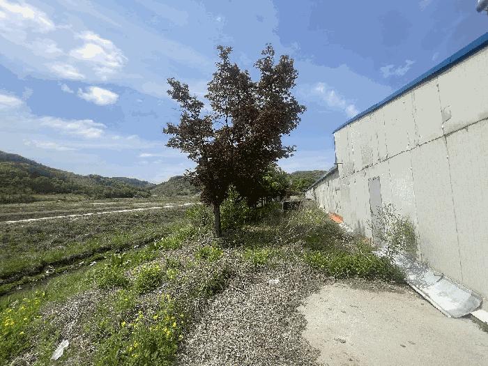 충청북도 충주시 노은면 대덕리 149-7 답 경매 사진 21