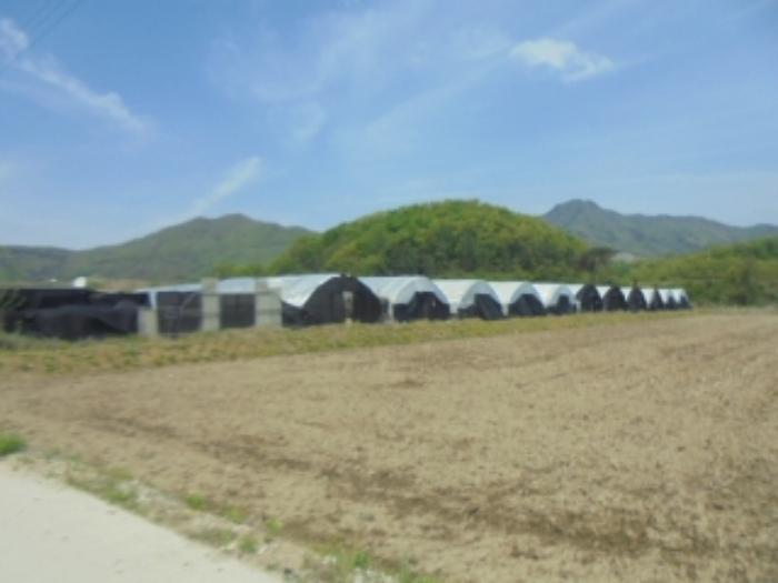충청북도 충주시 노은면 대덕리 149-7 답 경매 사진 56