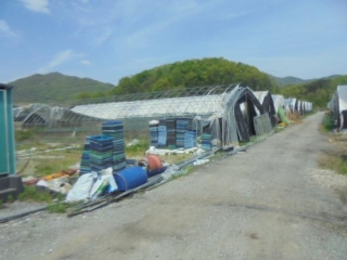 충청북도 충주시 노은면 대덕리 149-7 답 경매 사진 61