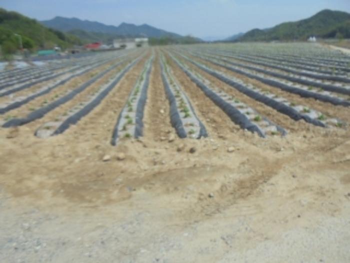 충청북도 충주시 노은면 대덕리 149-7 답 경매 사진 63