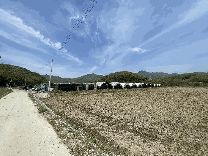 충청북도 충주시 노은면 대덕리 149-7 답 경매 사진 8