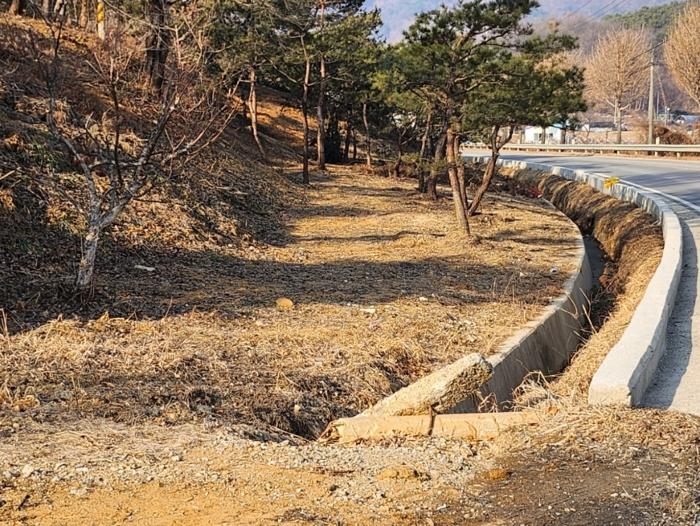 충청북도 충주시 노은면 신효리 613-3 답 경매 사진 6