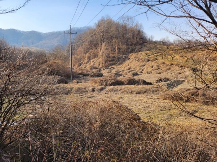 충청북도 충주시 노은면 신효리 613-3 답 경매 사진 7
