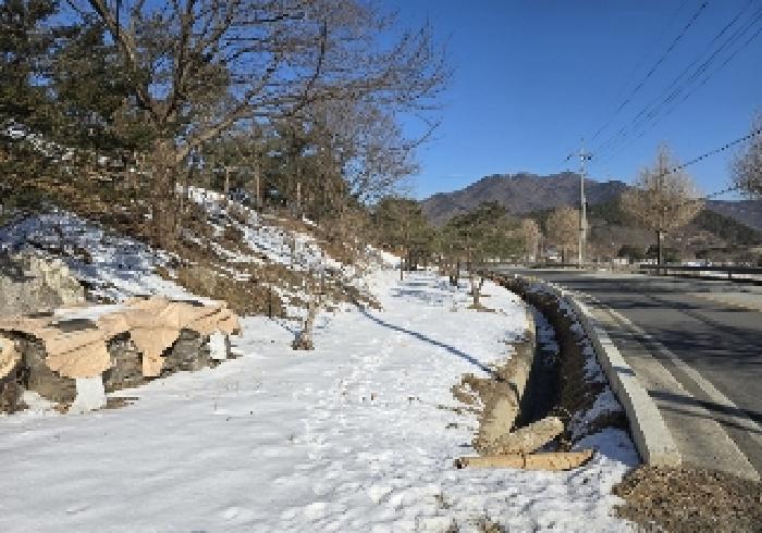 충청북도 충주시 노은면 신효리 614-4 답 경매 사진 11