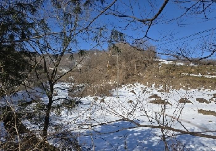 충청북도 충주시 노은면 신효리 614-4 답 경매 사진 12