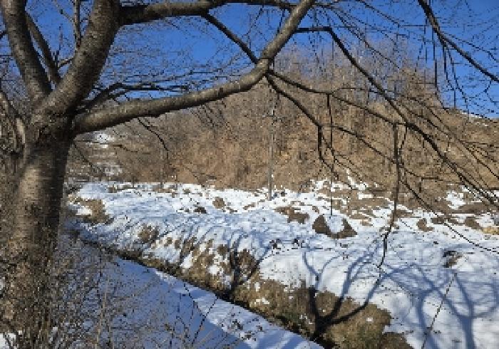 충청북도 충주시 노은면 신효리 614-4 답 경매 사진 13