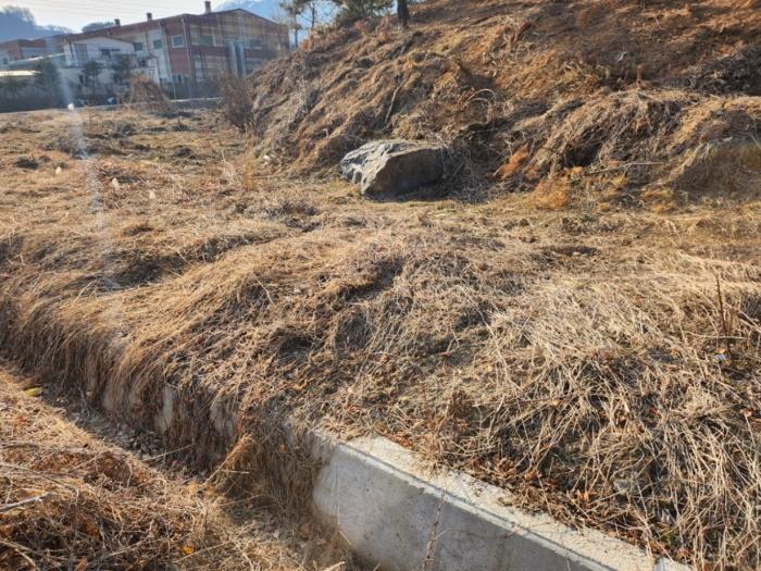 충청북도 충주시 노은면 신효리 614-4 답 경매 사진 4