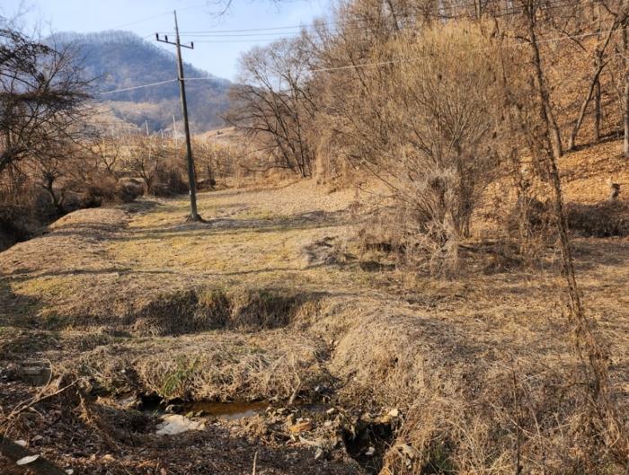 충청북도 충주시 노은면 신효리 614-4 답 경매 사진 5